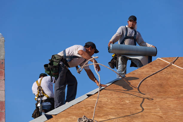 Quick and Trustworthy Emergency Roof Repair Services in Lakewood, CO